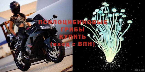 винт Горно-Алтайск