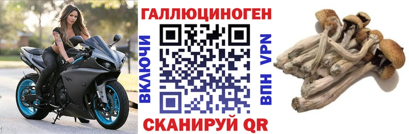 Галлюциногенные грибы мухоморы  Купить закладки  Рославль 